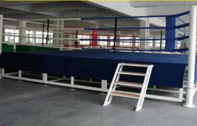 China Supplier Custom Logo Professional Ufc Fighting Training Equipment Muay Thai MMA Boxing Cage